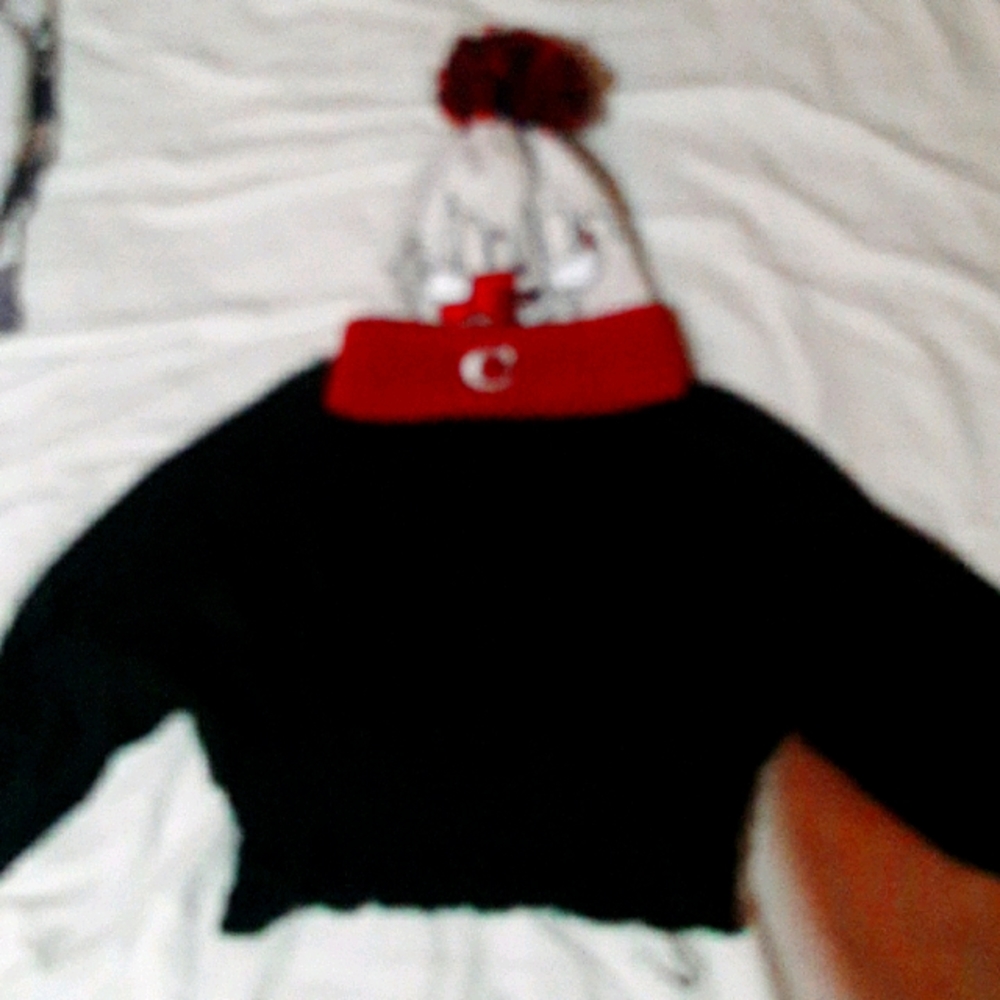 Really cute crop top with hat